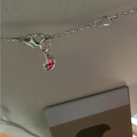 BEAUTIFUL CHOLE&ISABEL Silver Tone Branch Necklace.Brand New With It’s Dust Bag. - Picture 7 of 7